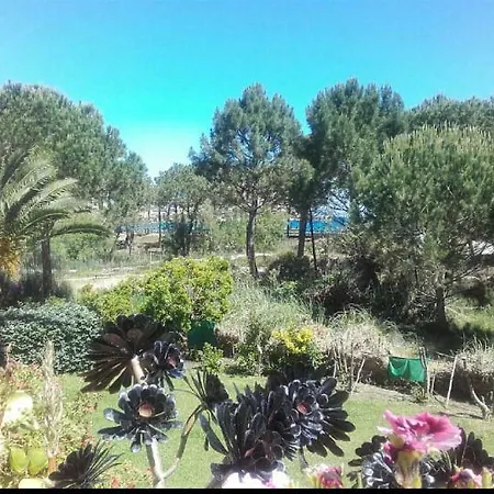 Διαμέρισμα Residences Pinea Calvi *