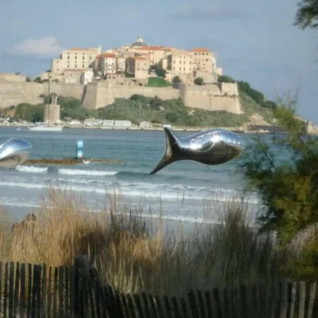 Residences Pinea Calvi Διαμέρισμα Καλβί