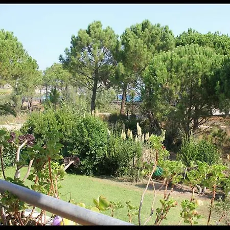 Residences Pinea Calvi * Calvi (Corsica)